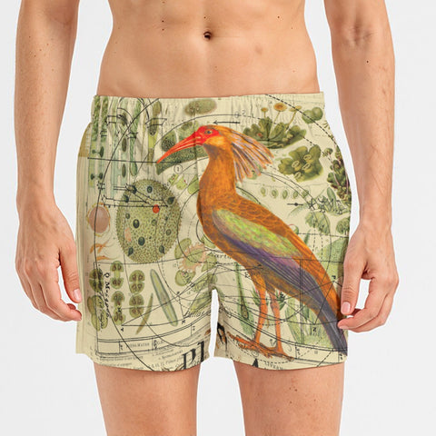 The Clever Bird All-Over Print Men's Poplin Cotton Boxers