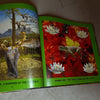 Design Showcase Book