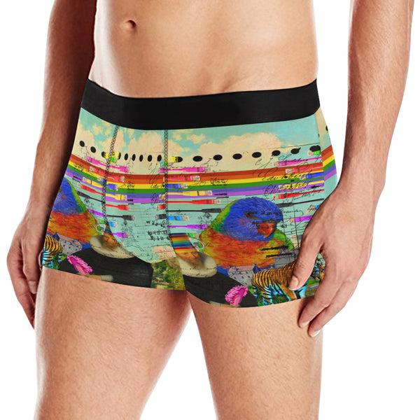 THE BIG PARROT Men's All Over Print Boxer Briefs