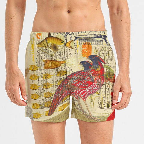 Hens and Hieroglyphics All-Over Print Men's Poplin Cotton Boxers