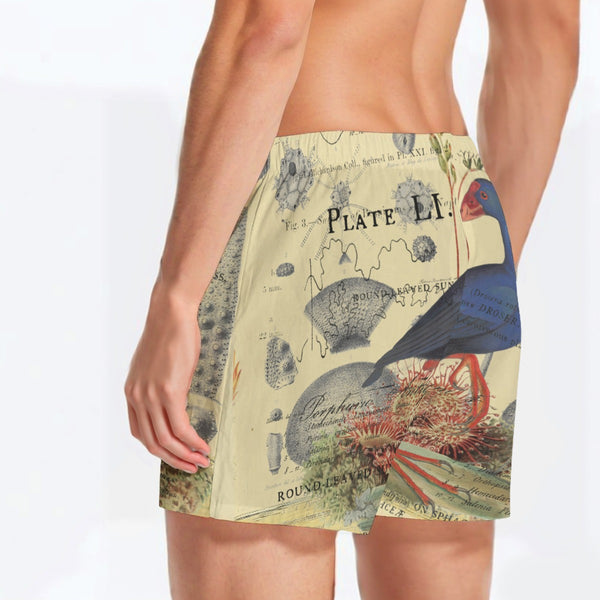 Blue Bird and Sea Urchins All-Over Print Men's Poplin Cotton Boxers