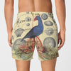 Blue Bird and Sea Urchins All-Over Print Men's Poplin Cotton Boxers