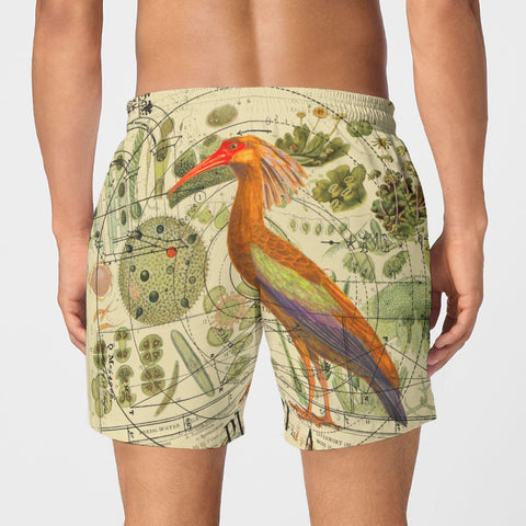 The Clever Bird All-Over Print Men's Poplin Cotton Boxers