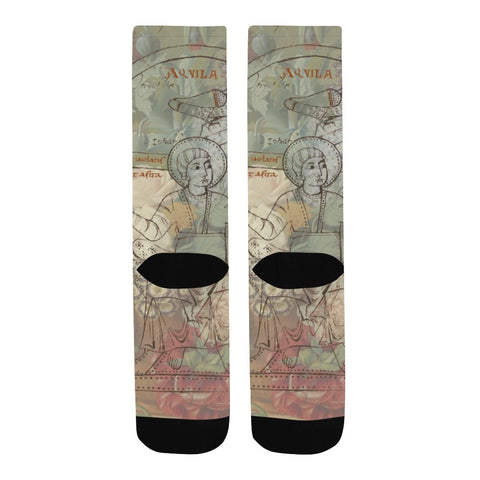 FLOWER PAINTING X MISC. ILLUSTRATIONS Unisex Mixed-Fabric Socks