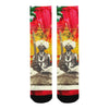 THE SITAR PLAYER II Unisex Mixed-Fabric Socks