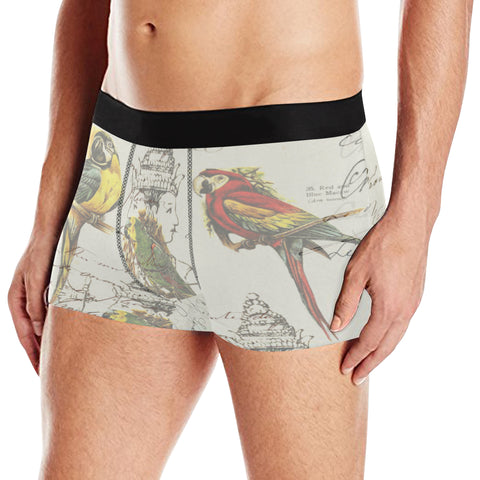 THE PARROT MAP II Men's All Over Print Boxer Briefs