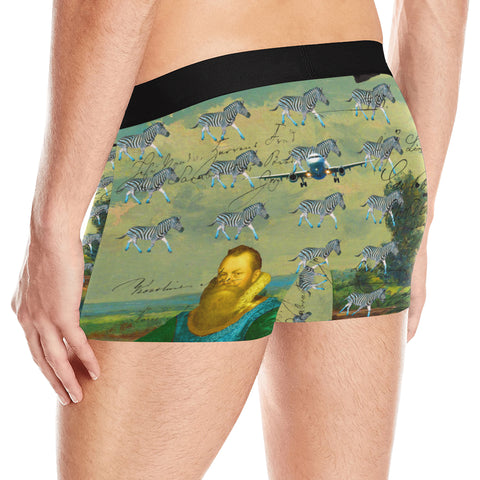 A PACKAGE FOR THE ZEBRAS Men's All Over Print Boxer Briefs
